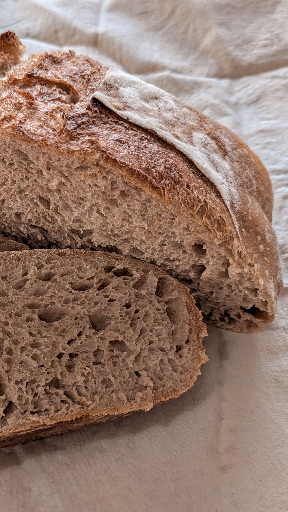 A sliced rustic loaf